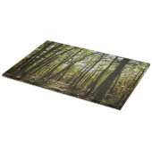 Appalachian Trail in oktober in Shenandoah Snijplank (Hoek)