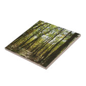 Appalachian Trail in oktober in Shenandoah Tegeltje (Zijkant)