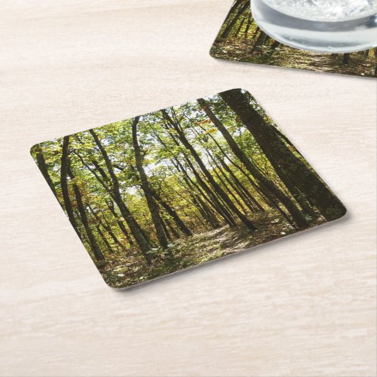 Appalachian Trail in oktober in Shenandoah Vierkante Kartonnen Onderzetter (Schuin)