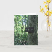 Appalachian Trail Kaart (Gele Bloem)