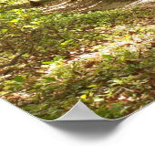 appalachian trail wilde kalkoenen poster (Hoek)