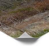 Appalachische bergen in de lente poster (Hoek)