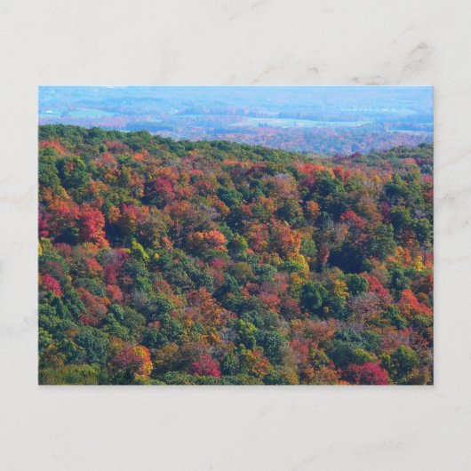 Appalachische bergen in Herfst Briefkaart (Voorkant)