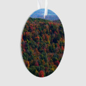 Appalachische bergen in Herfst Ornament (voorkant)