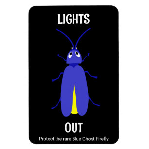 Appalacian Lightning Bug Magnet Magneet