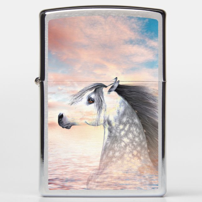 Appaloosa (Voorkant)