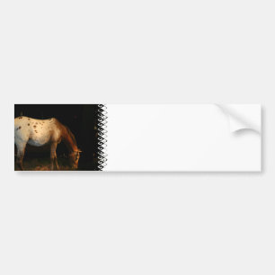 Appaloosa Bumpersticker