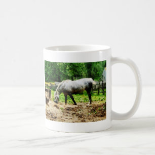Appaloosa Eating Hay Koffiemok