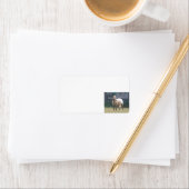 Appaloosa Etiket (Insitu)