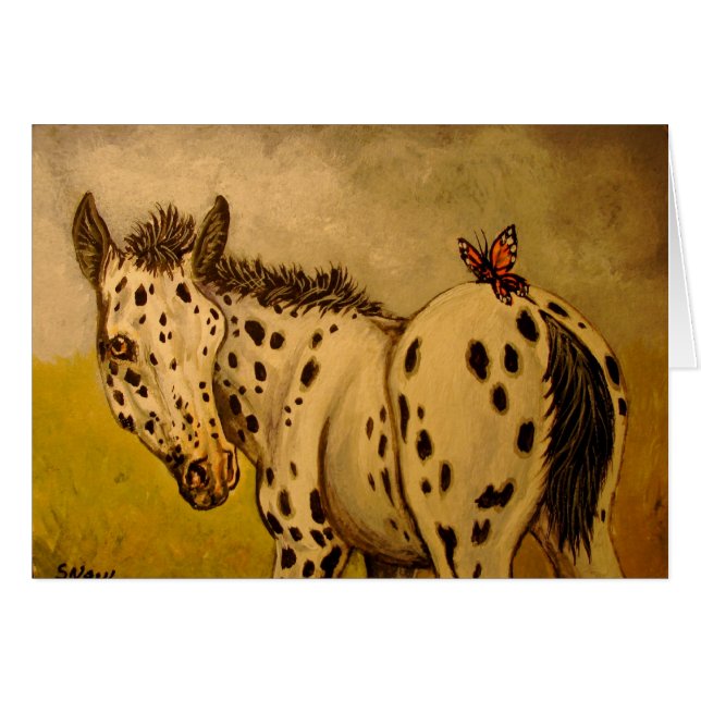 Appaloosa Foal & Butterfly (Voorkant Horizontaal)