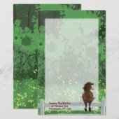 Appaloosa Gepiliseerd Pony Briefpapier (Voorkant / Achterkant)