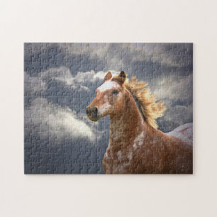 Appaloosa Horse and Clouds Legpuzzel