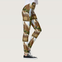 Appaloosa Horse Collage, Dames Full Print Legging