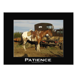 Appaloosa Horse Equine Animal Foto print Foto Afdruk