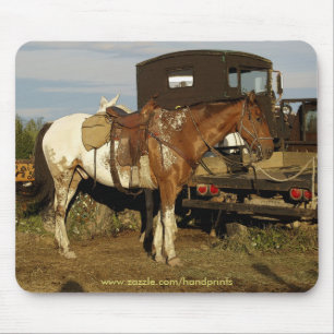 Appaloosa Horse Equine Western ontwerp Muismat