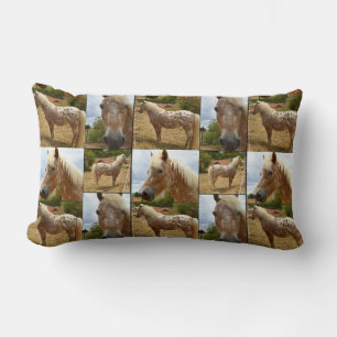 Appaloosa Horse, Foto Collage Lumbar Cushion. Kussen