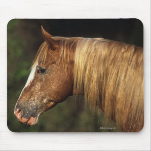Appaloosa Horse Headshot 1 Muismat