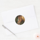 Appaloosa Horse Headshot 1 Ronde Sticker (Envelop)