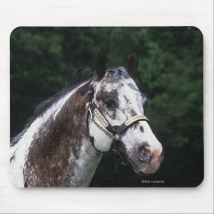 Appaloosa Horse Headshot 2 Muismat