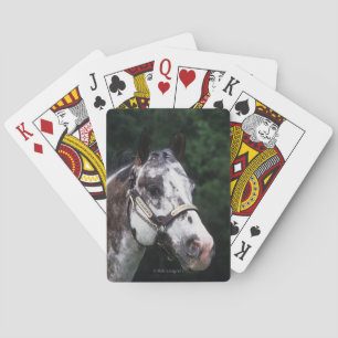 Appaloosa Horse Headshot 2 Pokerkaarten