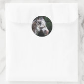 Appaloosa Horse Headshot 2 Ronde Sticker (Tas)