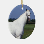 Appaloosa Horse Keramisch Ornament (Rechts)