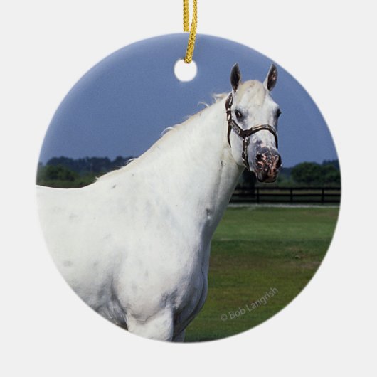 Appaloosa Horse Keramisch Ornament (Voorkant)