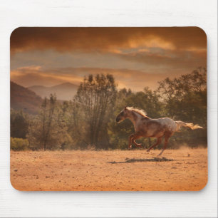 Appaloosa Horse Mousepad Muismat