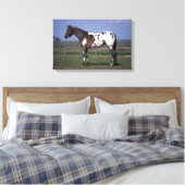 Appaloosa Horse Standing Canvas Afdruk (Insitu (Slaapkamer))