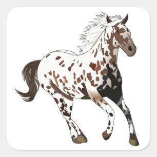 Appaloosa Horse Vierkante Sticker