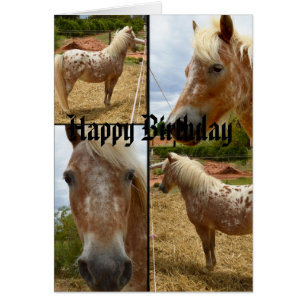Appaloosa Horses Photo Collage Anniversaire