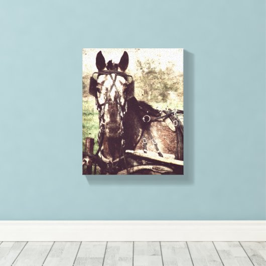 Appaloosa in harnas canvas afdruk (Insitu (Houten vloer))