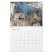 Appaloosa Kalender (Mar 2026)