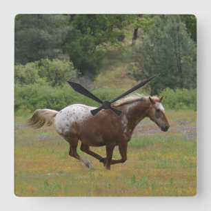 Appaloosa-klok Vierkante Klok