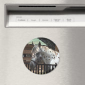 Appaloosa Magnet (In Situ (Lave-vaisselle))