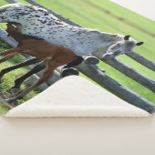 Appaloosa Mare en Colt Horse Sherpa Deken (3/4)