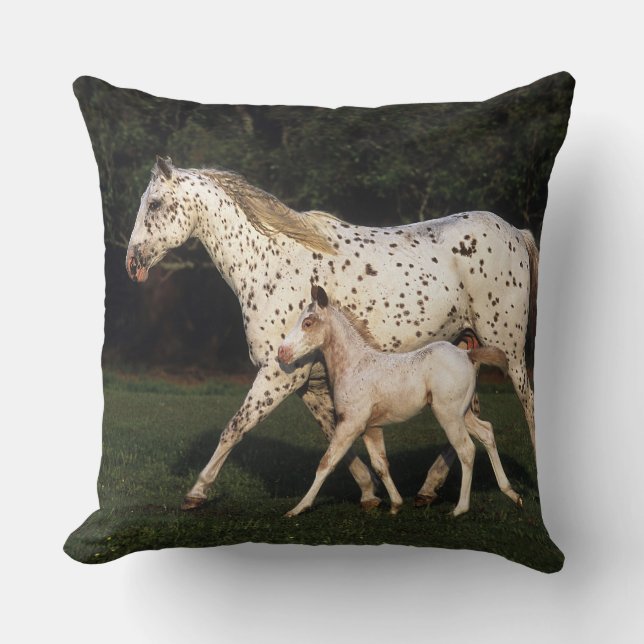 Appaloosa Mare en Foal in het veld Kussen (Voorkant)