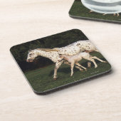 Appaloosa Mare en Foal in het veld Onderzetter (Linkerzijde)