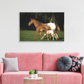 Appaloosa-mare en -slachtafvallen canvas afdruk (Insitu (Woonkamer))