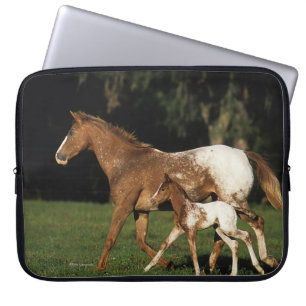 Appaloosa-mare en -slachtafvallen laptop sleeve