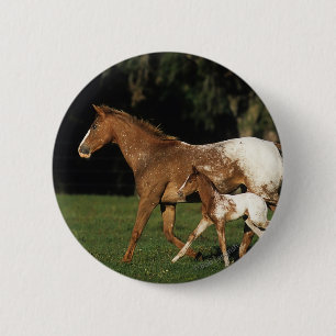 Appaloosa-mare en -slachtafvallen ronde button 5,7 cm