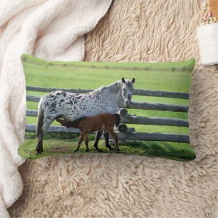 Appaloosa Merrie en Veulen Paard Kussen