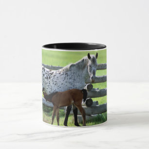 Appaloosa Merrie en Veulen Paard Mok