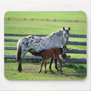 Appaloosa Merrie en Veulen Paard Muismat