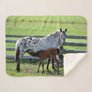 Appaloosa Merrie en Veulen Paard Sherpa Deken