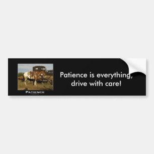 Appaloosa Motivatie Gifts Bumpersticker