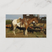 Appaloosa Motivation Carte de visite (Dos)