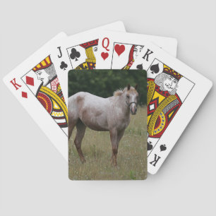 Appaloosa Paard in de gras Speelkaarten