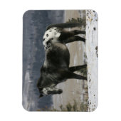 Appaloosa-paard in de sneeuw magneet (Verticaal)