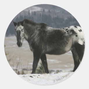 Appaloosa-paard in de sneeuw ronde sticker